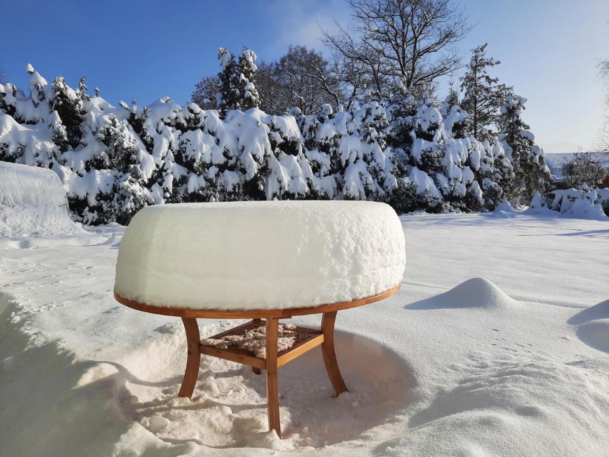 V Prirode Na Okraji Frenstatu Pod Radhostem Lägenhet Frenštát pod Radhoštěm Exteriör bild